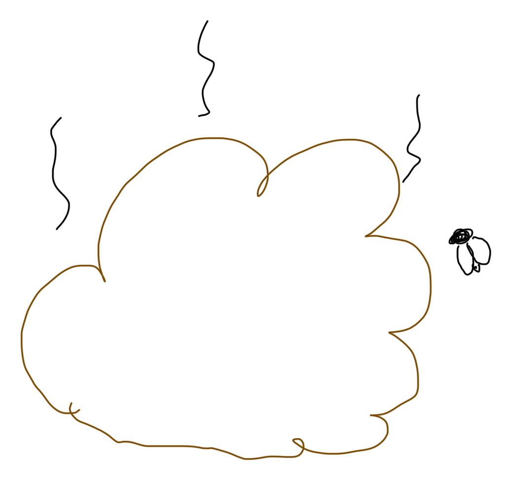 The poo is how feel on the inside